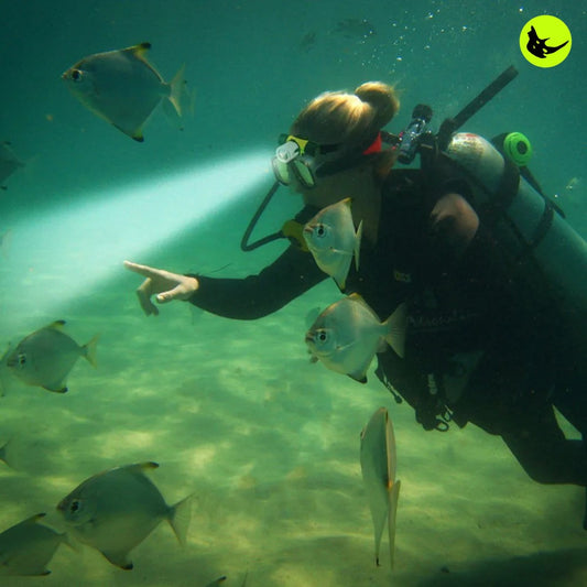 linterna de cabeza para buceo + Obsequio